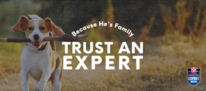 Trust an expert. Shop Purina brand at our store. 
