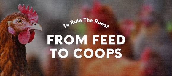 From feed to coops, we have it all. 