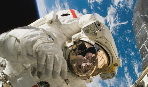 Horses and Astronauts: The Effects of Inactivity on Bone Strength and General Well Being