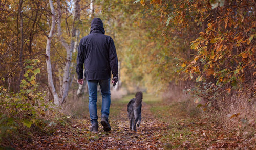 Tips to Make Autumn a Happy and Healthy Time for You and Your Pet