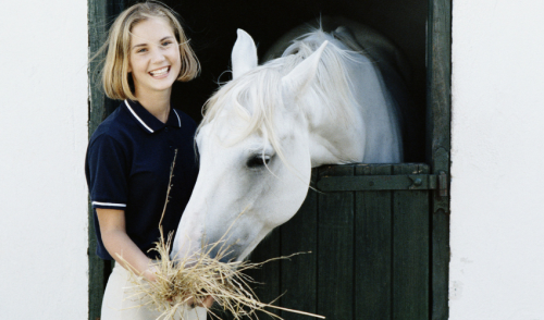 Switching Horse Feeds Safely 