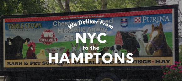 We deliver from NYC to the Hamptons