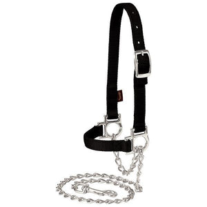 Nylon Adjustable Sheep Halter with Chain Lead