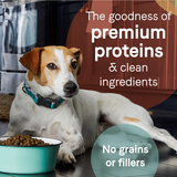 Canidae Grain Free PURE Chicken, Sweet Potato & Garbanzo Bean Recipe Dry Dog Food